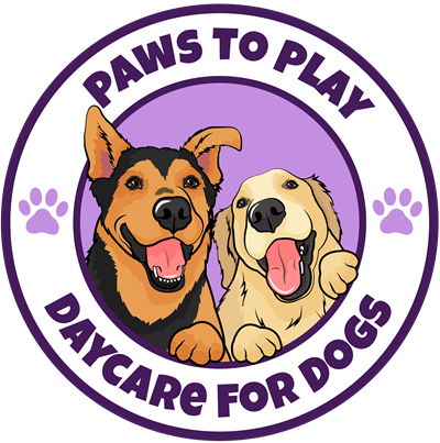 Paws to Play Day Centre for Dogs